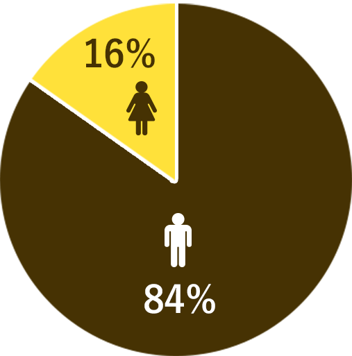 男女比　男-84%、女-16%