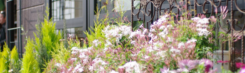 アントの取り組み