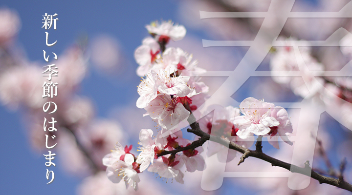 2016spring