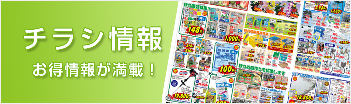 チラシ情報