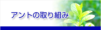 アントの取り組み
